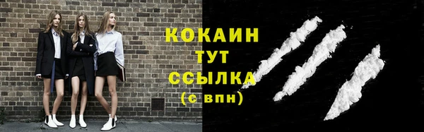 СК Гусев