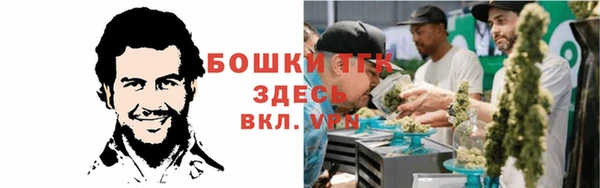 MESCALINE Гусь-Хрустальный