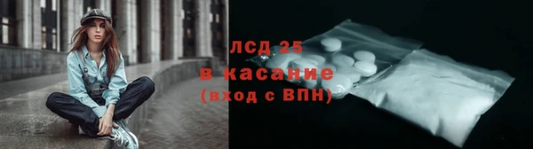 PSILOCYBIN Гусиноозёрск