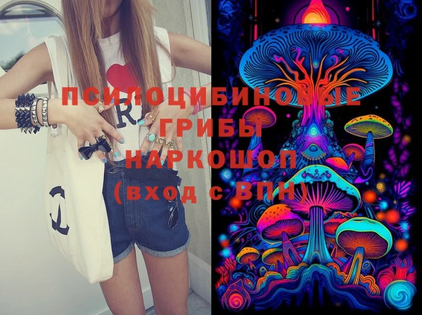 PSILOCYBIN Гусиноозёрск