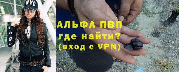 СК Гусев