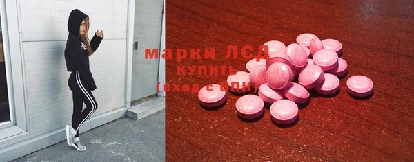 PSILOCYBIN Гусиноозёрск