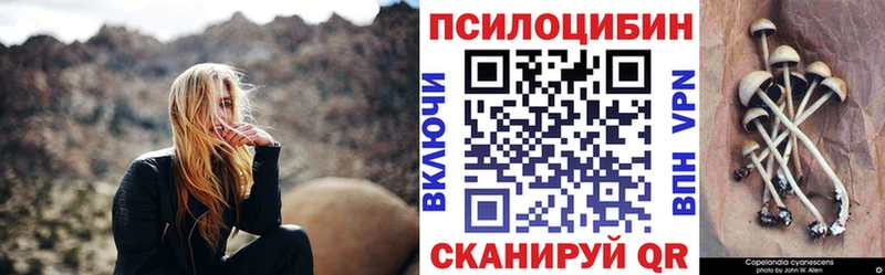Галлюциногенные грибы Psilocybe  Купить где  Хадыженск 
